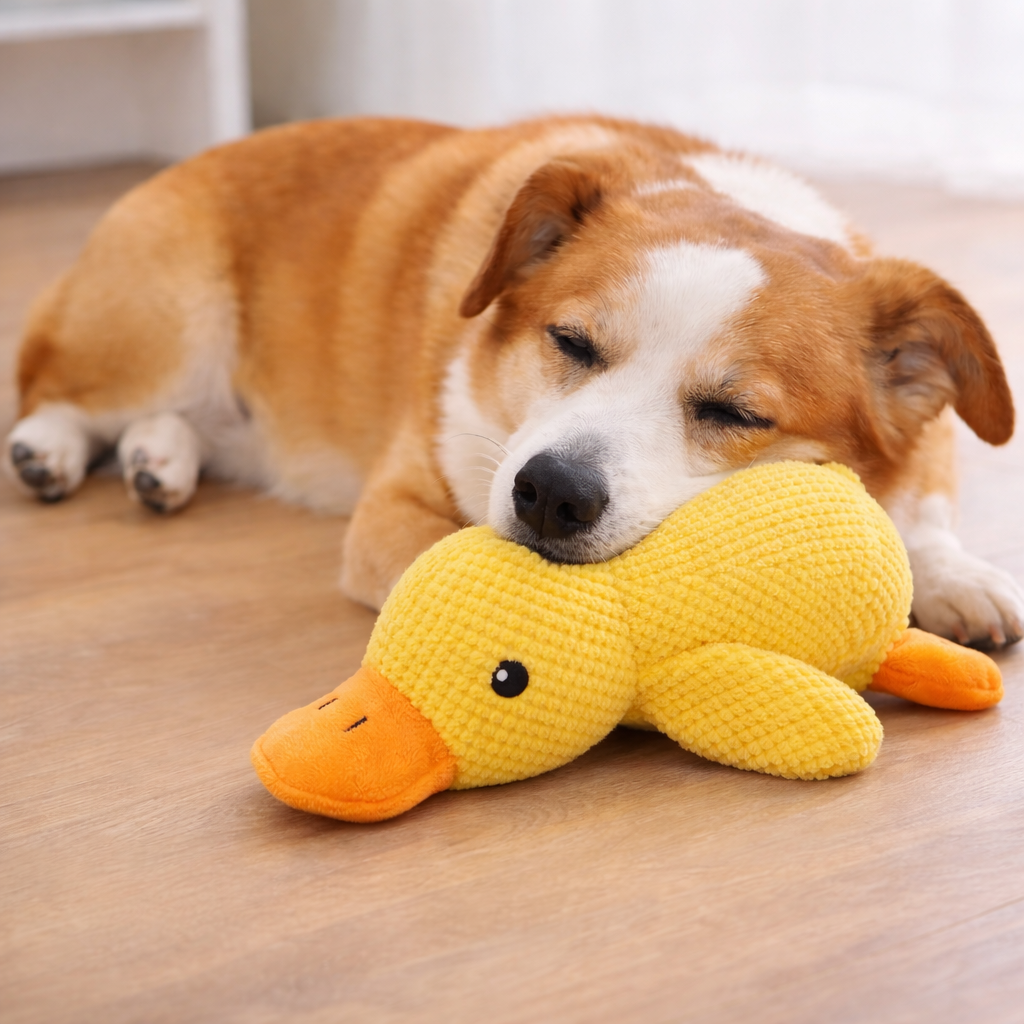 Golifey™ Hundekompis