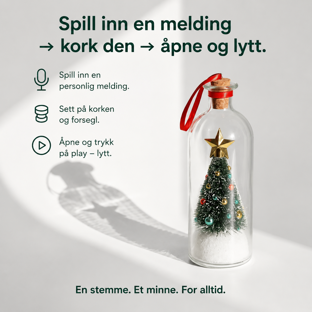 Juleminnet™ – En stemme de aldri vil glemme