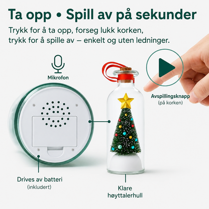 Juleminnet™ – En stemme de aldri vil glemme
